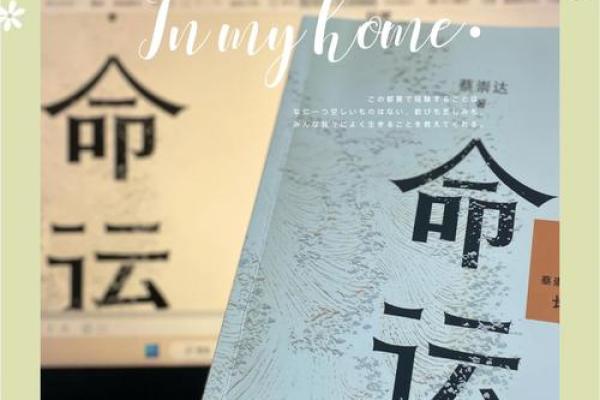 男孩的一生：命运、挑战与成长的旅程