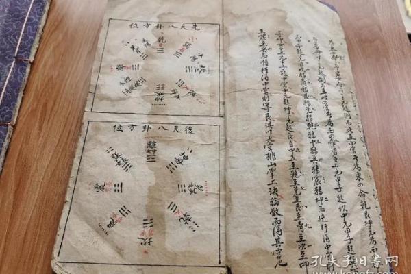 路旁土命解析：了解土命的独特魅力与个性发展之路