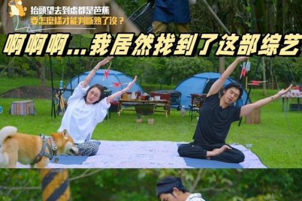 劳碌命：在繁忙的生活中寻找内心的宁静与幸福