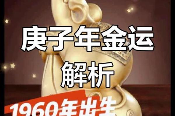 流年金箔金命的深奥解析：探寻命运与金运的微妙关系