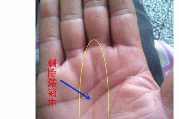 开货车五行属什么命？探索你的职业与命理的关系
