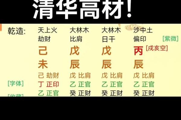 木命人的木属性解析：什么木才是最佳选择？