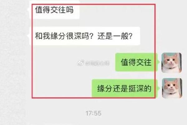 坤命与最佳婚配：揭秘命理学中的理想伴侣选择