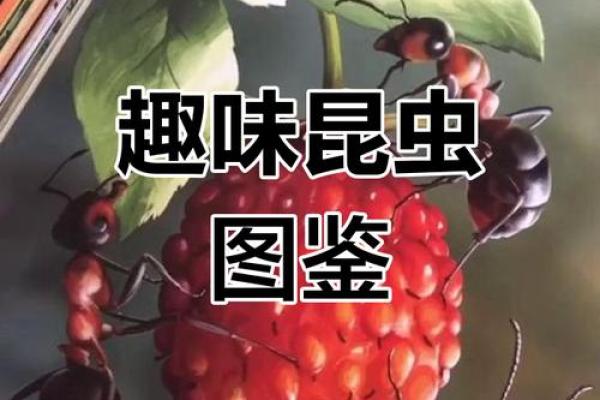 昆虫的奥秘：它们为何拥有六条命？一探究竟！