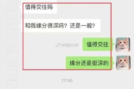 坤命与最佳婚配：揭秘命理学中的理想伴侣选择