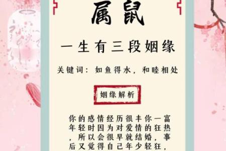 炉中火命与最佳配偶：探寻天生的缘分与默契