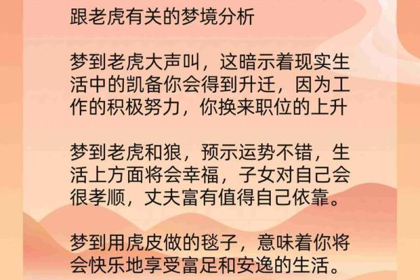 老虎生第三胎，虎宝宝命运如何？解密老虎生肖背后的神秘寓意