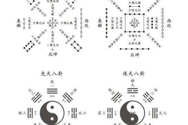 六七年属羊人五行解析：揭示命运中的奥秘与潜力