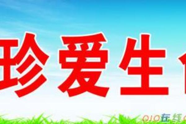 命字的魅力：探索生命与语言之间的关系