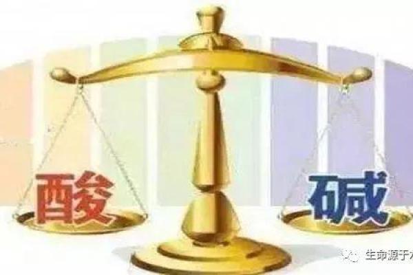 命字的魅力：探索生命与语言之间的关系