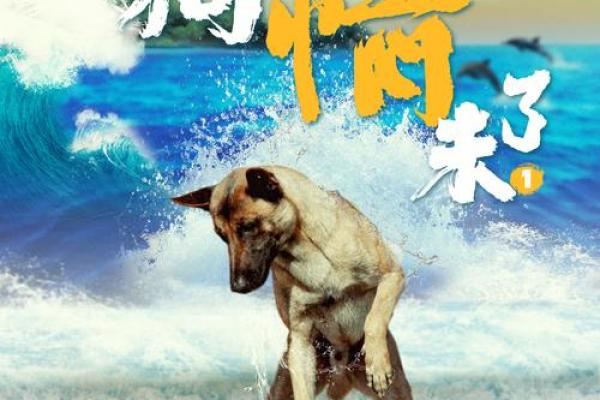 流浪狗的相依之旅：温情背后的无尽责任与希望