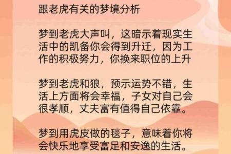 老虎生第三胎，虎宝宝命运如何？解密老虎生肖背后的神秘寓意