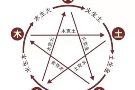 路旁土命与火命人携手共创美好生活之路