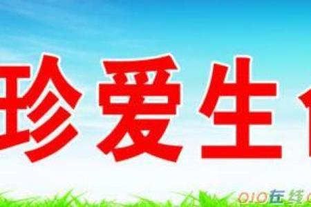 命字的魅力：探索生命与语言之间的关系
