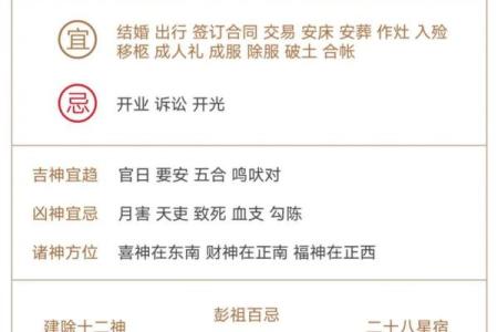 腊月巳时出生的人命理解析：神秘与命运的交织