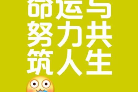 两手都是簸箕，命运的抉择与奋斗之道