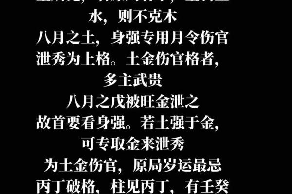 两个戊土合一土，探寻人生命理中的深意与智慧