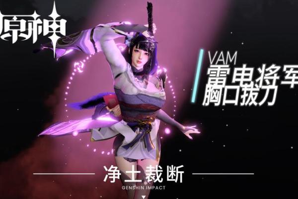 雷电将军：命之效果解析与游戏策略分享