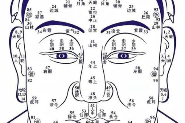 罗汉脸型的人命运解析：揭示命理与面相的奥秘