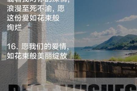 浪漫与鲜花：交织于生活中的爱的芬芳与生命的继续