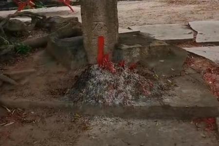 路旁土命人士适合摆放的风水摆件推荐与解析