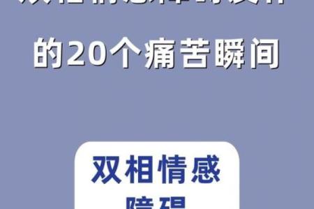 哭命命：揭示生活中的情感共鸣与内心挣扎