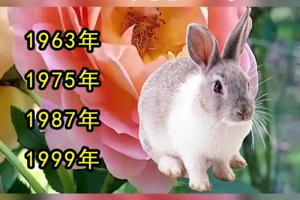 男命得道之兔：探寻兔年的命理奥秘与人生智慧