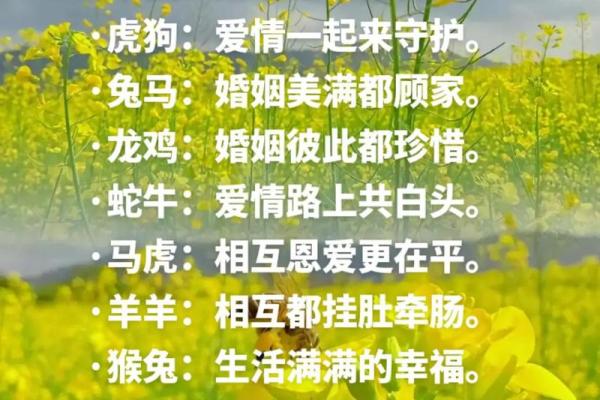 炉中火命与最佳生肖配对，探索命理之美！