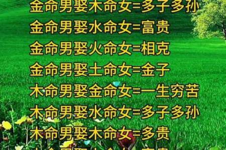 路旁土命与金命的完美搭配与生命智慧