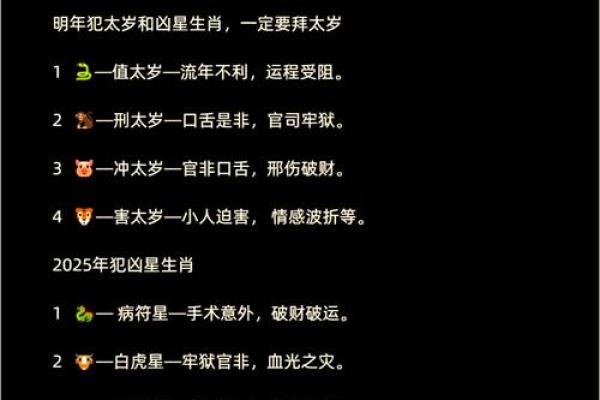 揭开九条命的生肖之谜：谁是命运的宠儿？