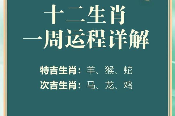六五年的生肖与命运：揭秘你的命理密码