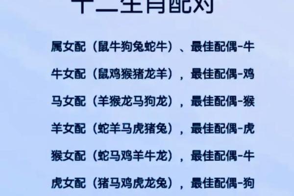 六五年的生肖与命运：揭秘你的命理密码