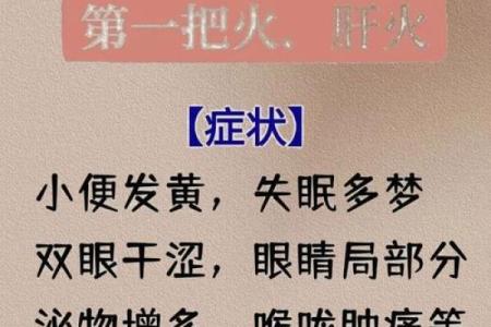 炉中火命人如何挑选最适合自己的手机
