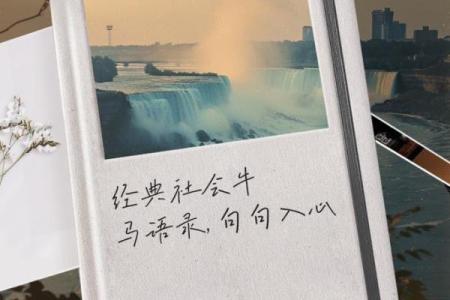 牛马命格的深意：解析命理背后的生活智慧与哲学