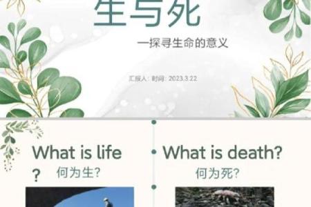 能以命换命吗？探寻生命的深刻哲理与选择