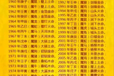 路旁土命的合适搭配：揭示你的命理优势与人生方向