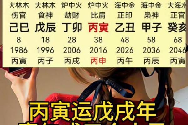 炉中火命与命理事业的最佳搭配解析