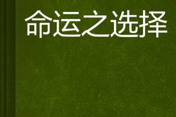 可惜之命：当人生的选择与命运相遇时
