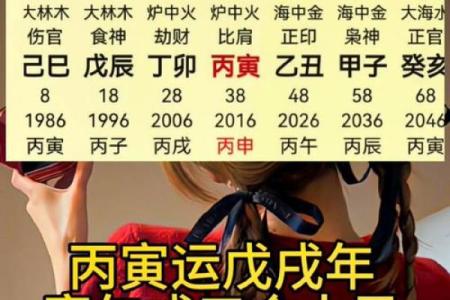 炉中火命与命理事业的最佳搭配解析
