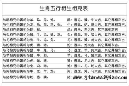 牛年五行属性解析：了解命理与人生路径的奥秘