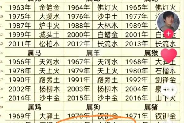 炉中火命与最应相配的命理组合探讨