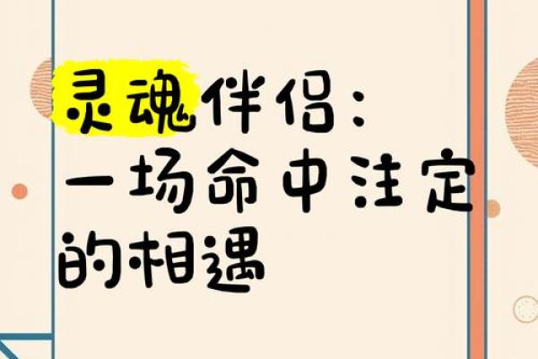 路旁土命：寻找命中注定的伴侣与合伙人
