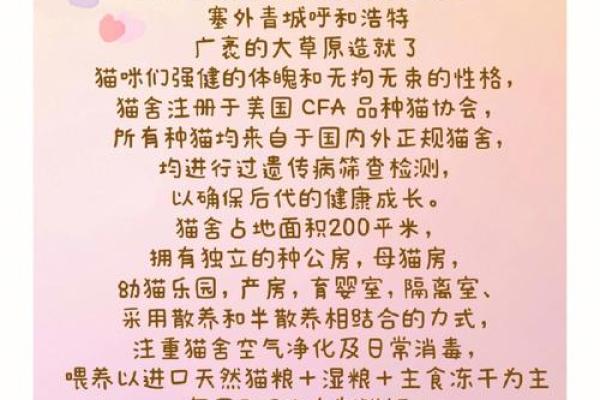 路旁土男命的宠物选择：适合你的灵魂伴侣！