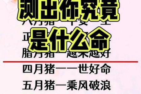 可以拿命换你的人，究竟是什么样的存在？