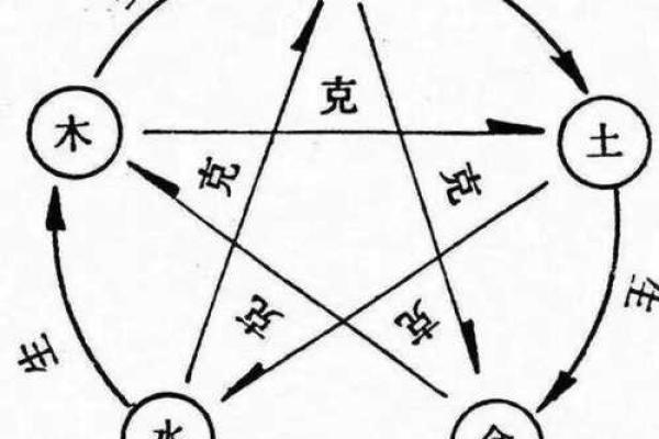 木命人与其他五行命相配的缘分探秘