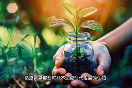 路旁土命的女人：探索她们的命运与生活智慧