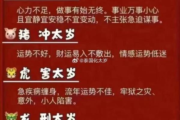 木命人佩戴虎骨的利弊解析：勇气与风险并存