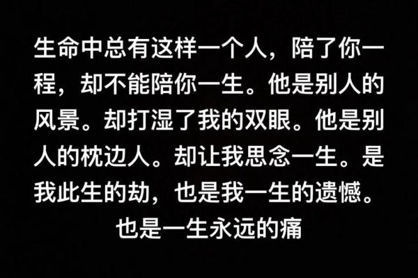 可惜命里缺你：探寻生命中的遗憾与爱