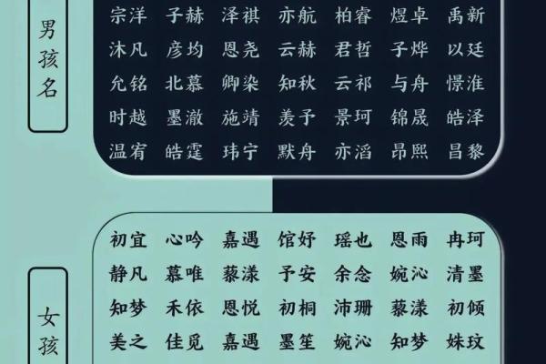 木命男孩起名技巧：揭示好名字背后的深意与选择