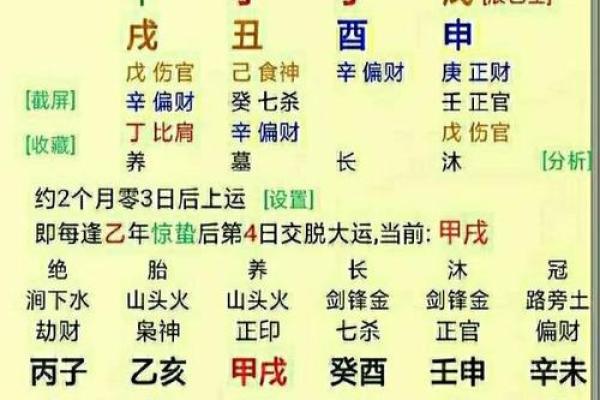 男命日木主甲多，解读命局中隐藏的智慧与潜能